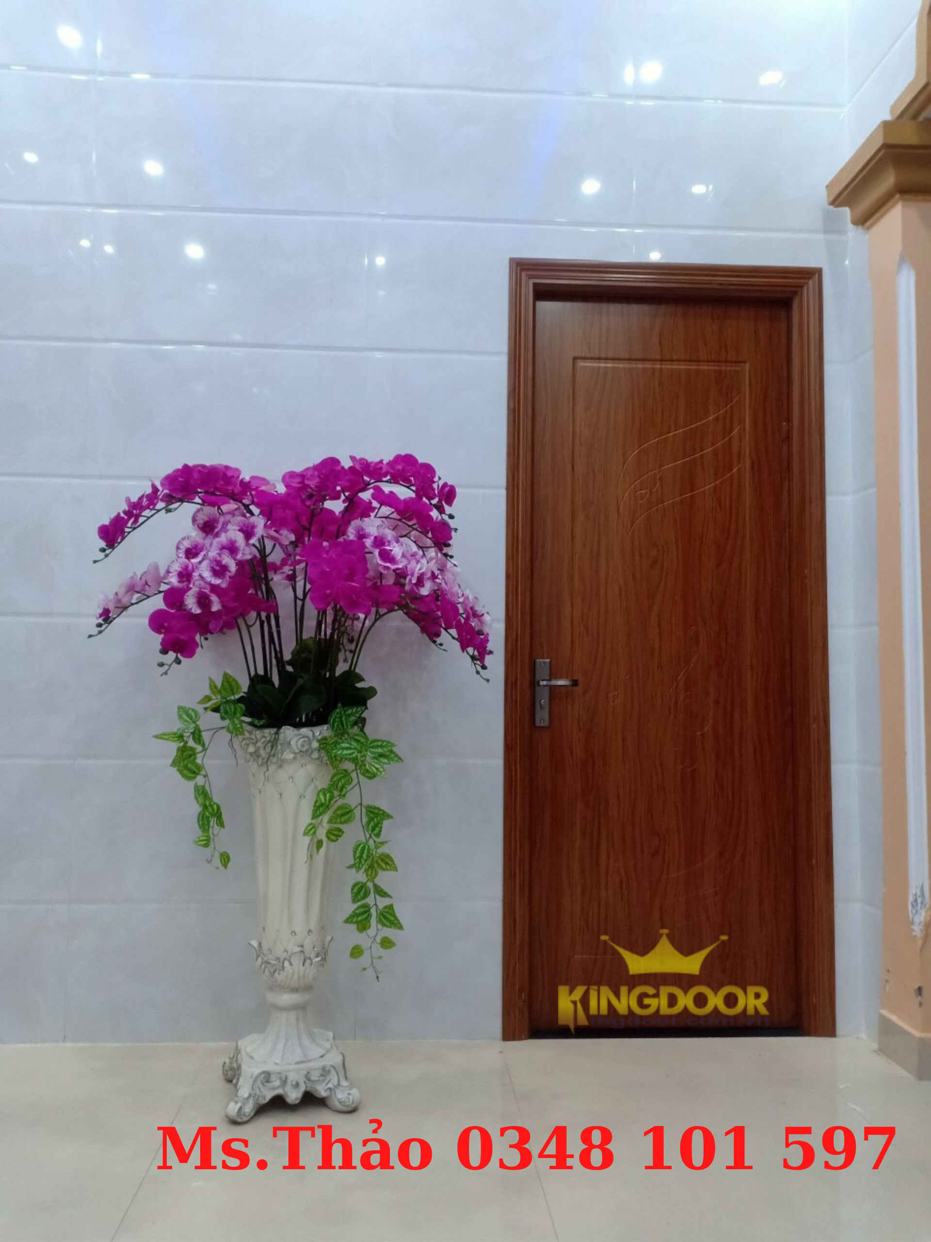 Mẫu cửa nhựa Composite phủ da
