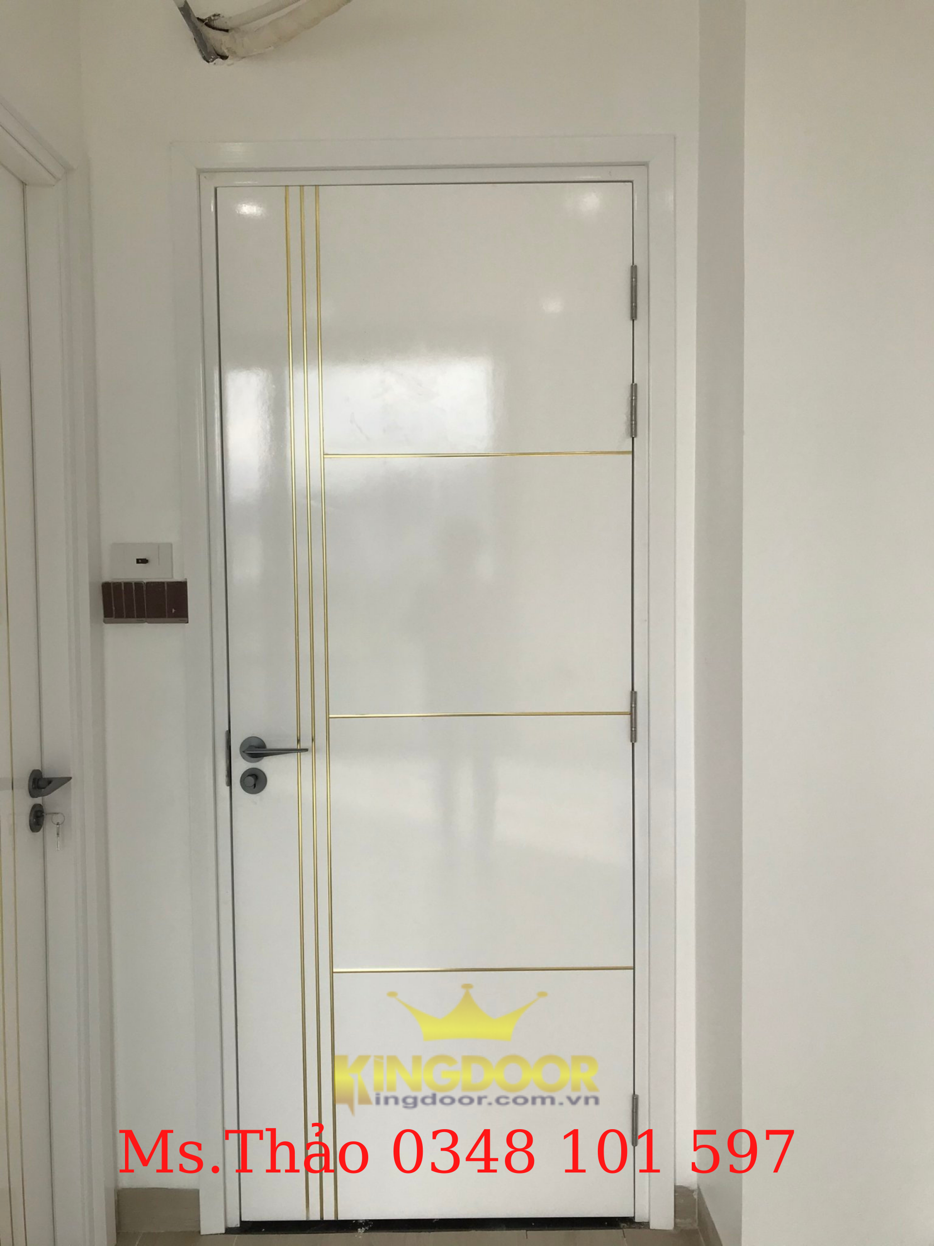Mẫu cửa nhựa Composite sơn PU chạy chỉ nhôm